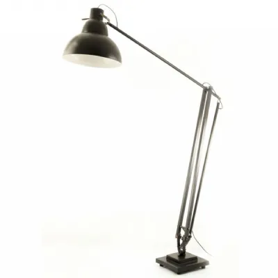 Tall Metal Adjustable Floor Lamp with Black Finish