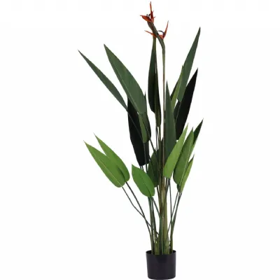 4ft Tall Faux Flowering Bird of Paradise Plant with Pot